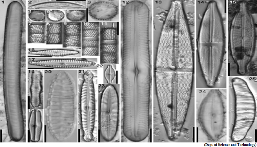 Sediments decode climate and environmental changes on Kaas Plateau around 8664 years BP (GS Paper 1, Geography)