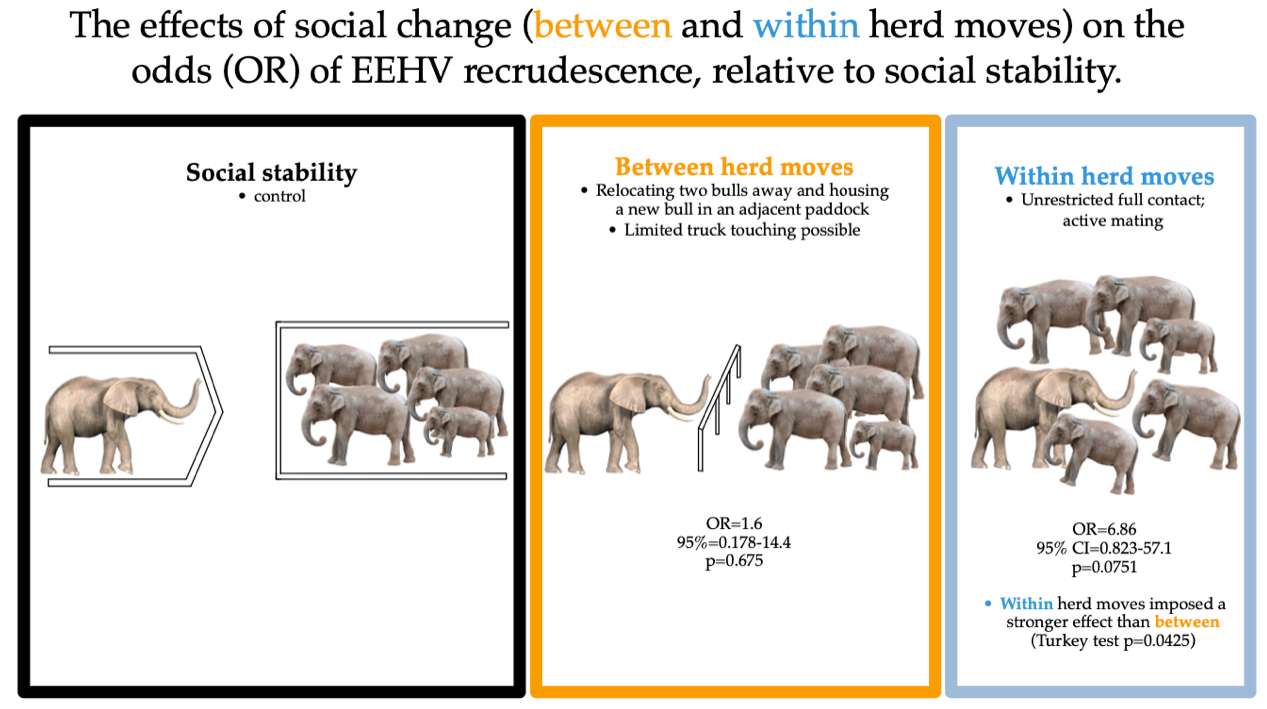 Elephant endotheliotropic herpesvirus (EEHV) in Switzerland (GS Paper 3 Science and Tech)