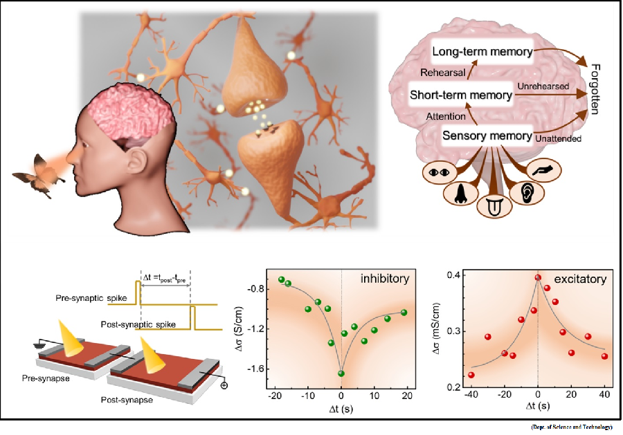 Artificial synapse developed for brain-like computing with industry-compatible Nitride Semiconductors (GS Paper 3, Science and Tech)